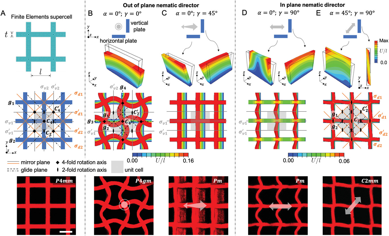 Finite-element and experimental views of programmable anisotropic transformations in cellular microstructures