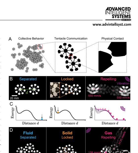 Figure 1 showing electronics-free particle robots communicating through architected tentacles