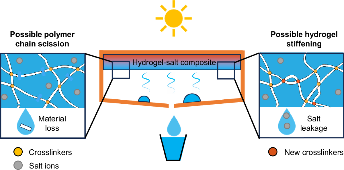 Figure 1 showing degradation pathways in moisture-capturing hydrogel-salt composites