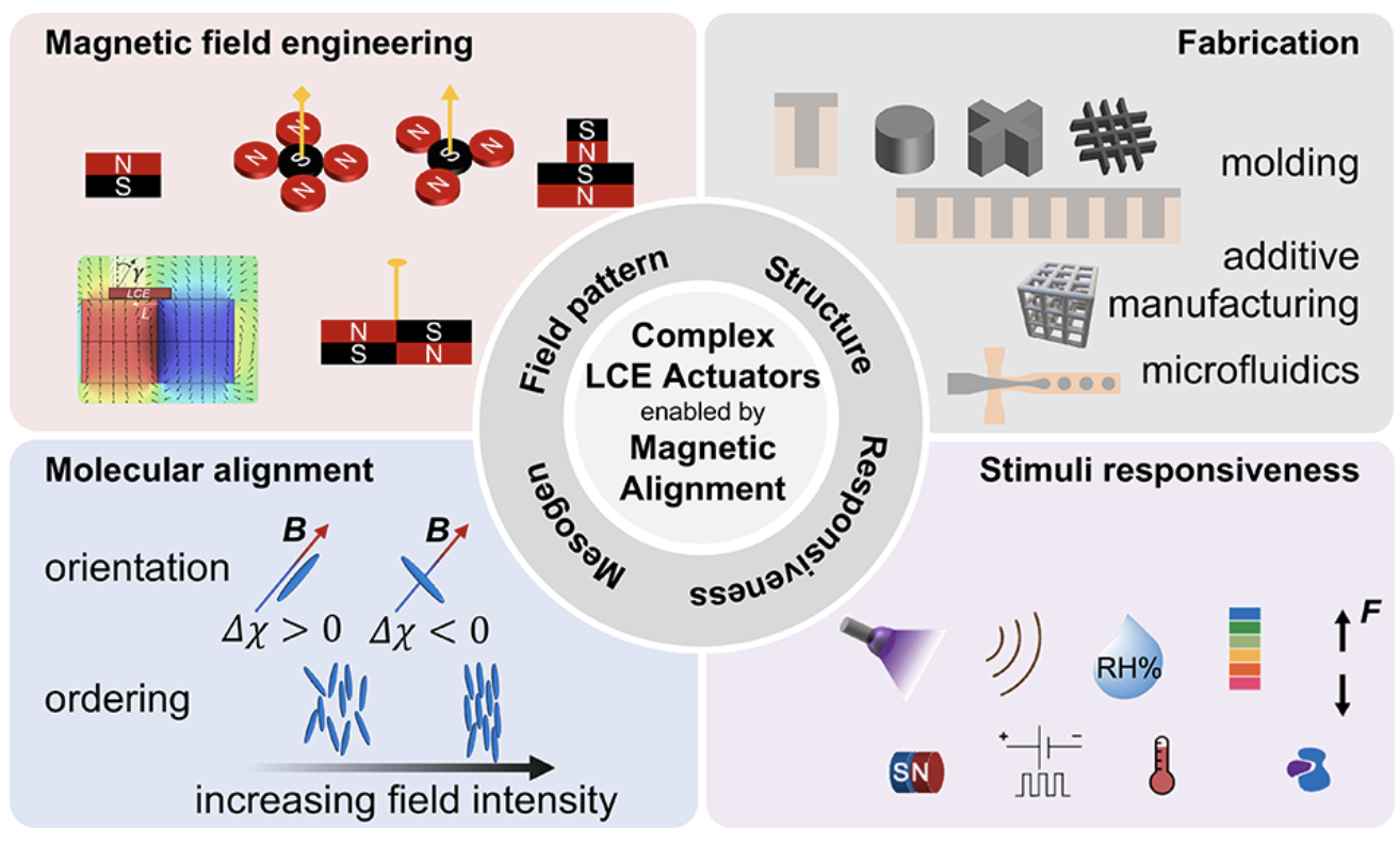 Magnetic field engineering and multiscale design of complex liquid-crystal elastomer actuators