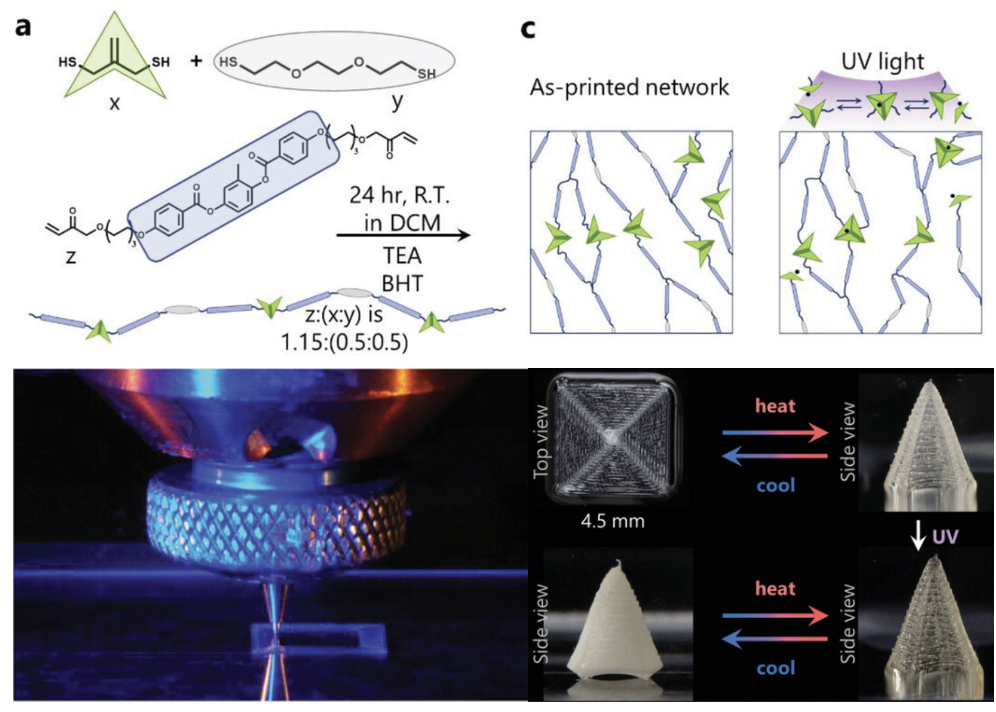 Fabrication and thermally and optically reconfigurable liquid-crystal elastomer structures