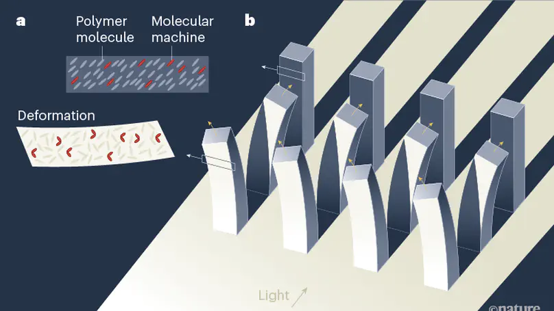 Soft polymer structures deforming in response to light