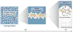 Hydrogels & Transport