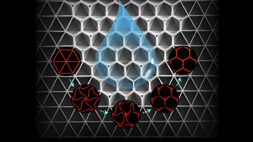 Topological transformation of cellular microstructures